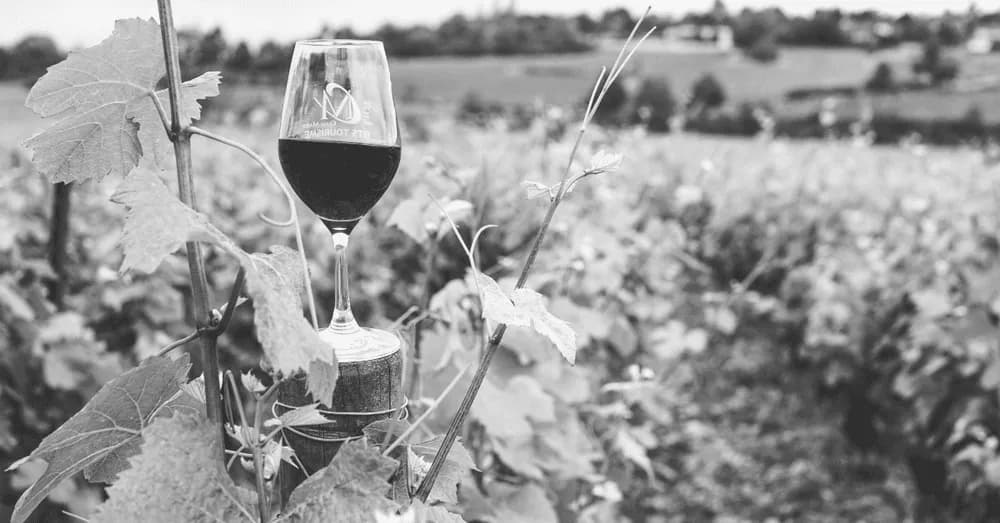 Fine Wine, Collectables investment
