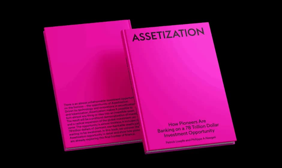 Assetization