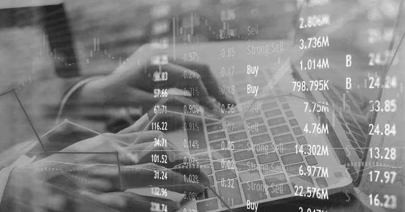 Quarterly Pulse by Clarus Capital