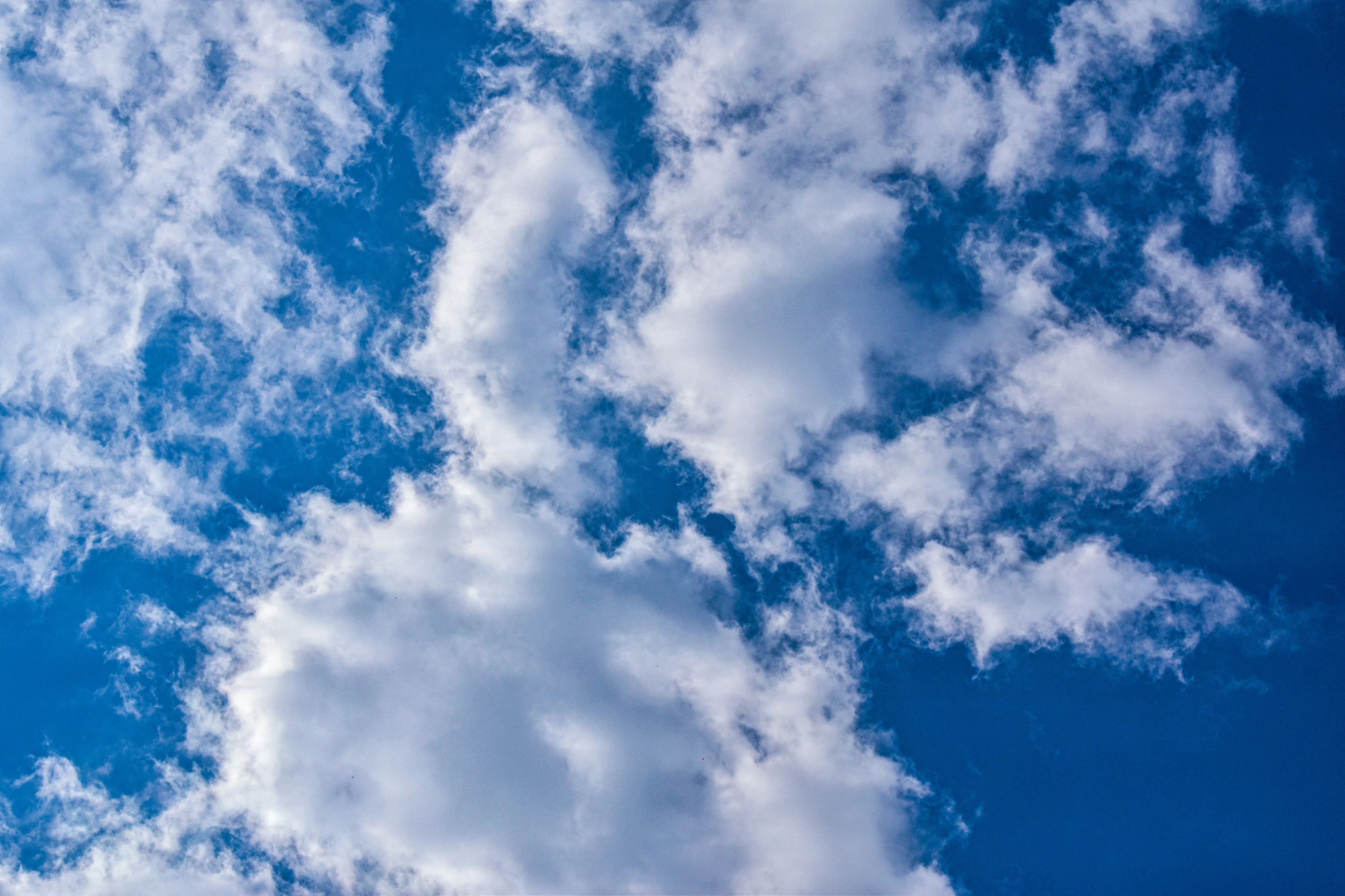 This AMC Transforms Carbon Market Expertise into Climate Finance Alpha – Here’s