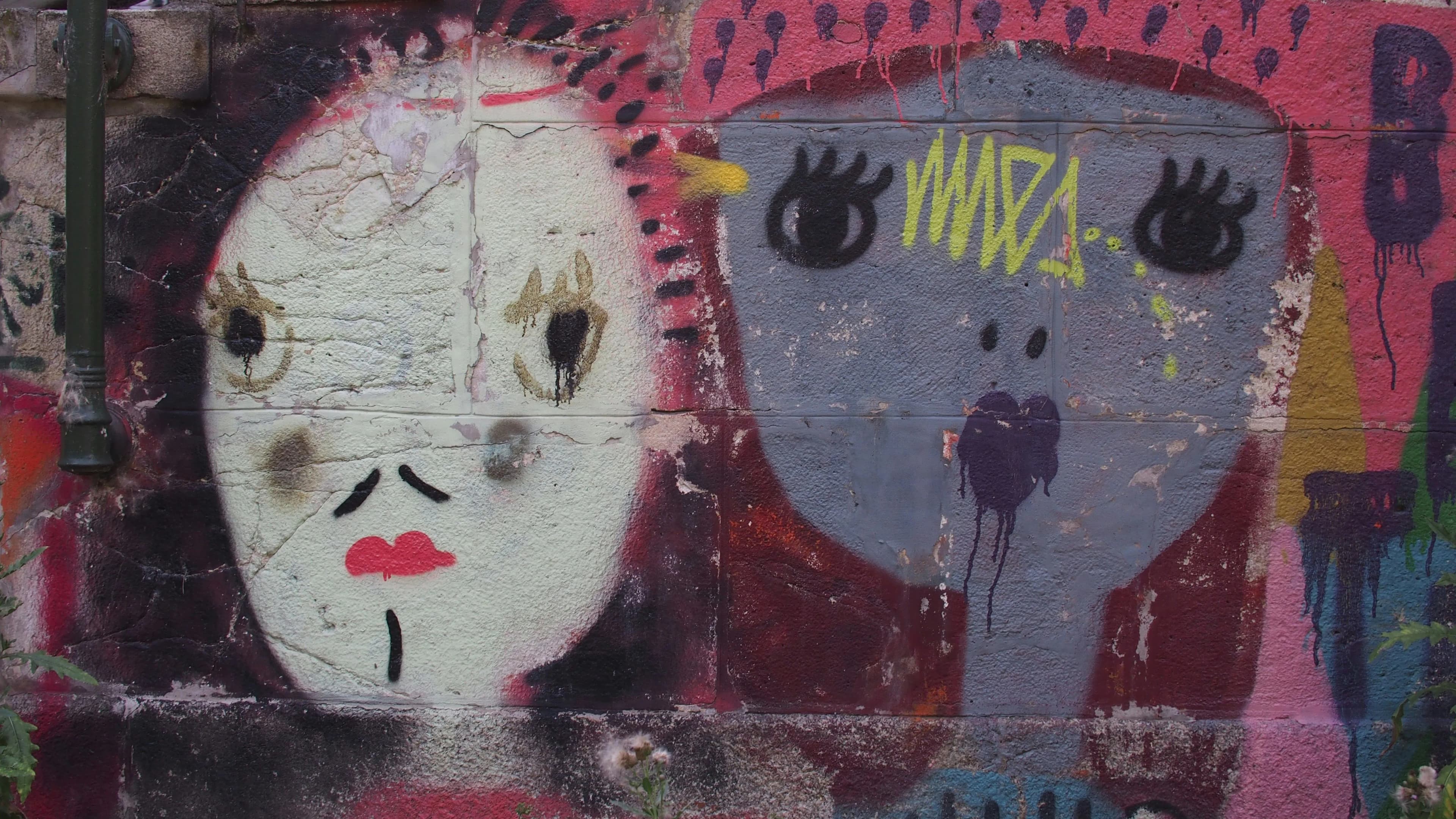 The Two Faces of User-Generated Finance